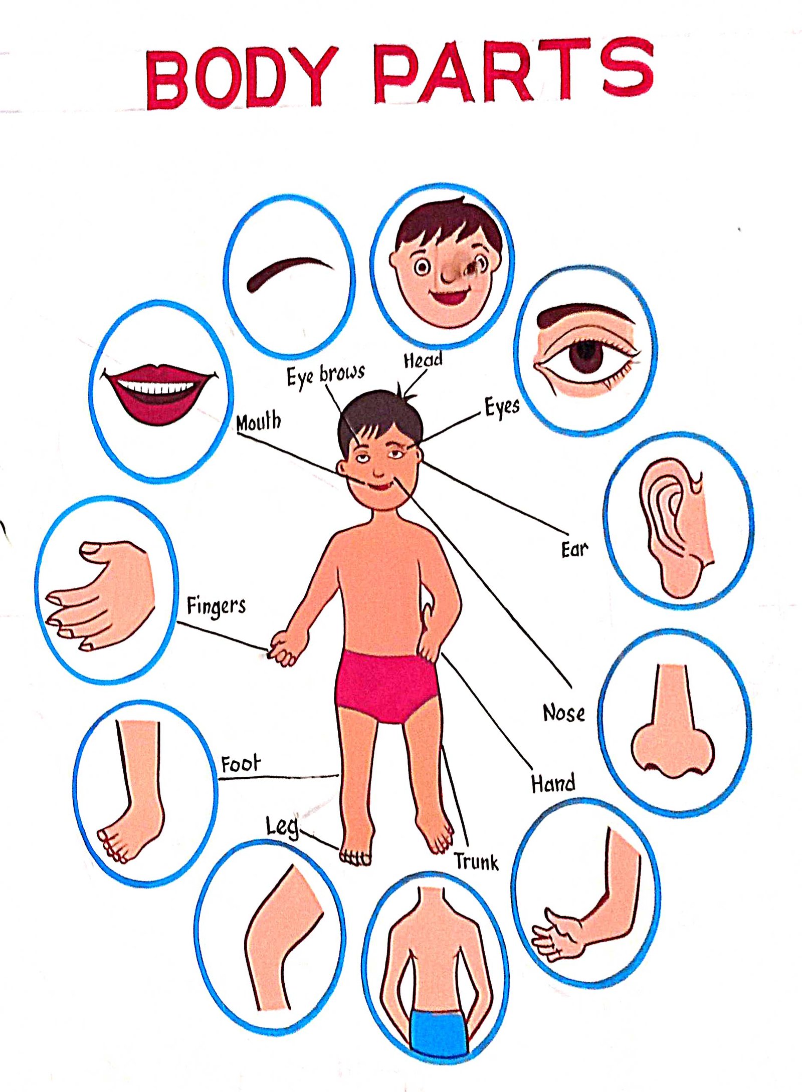 Body Method (Memory Body) (image credits: wikimedia)