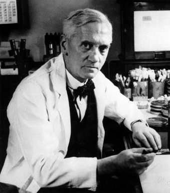 Penicillin – Alexander Fleming (1928) (image credits: wikimedia)
