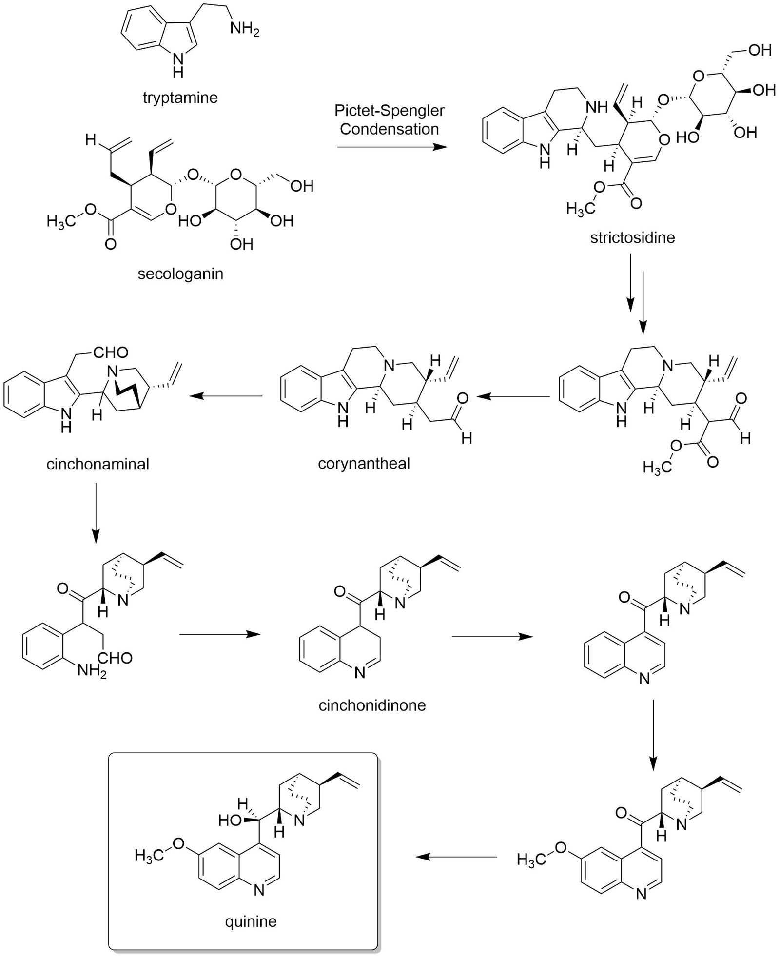 Quinine (Malaria Treatment) (image credits: wikimedia)