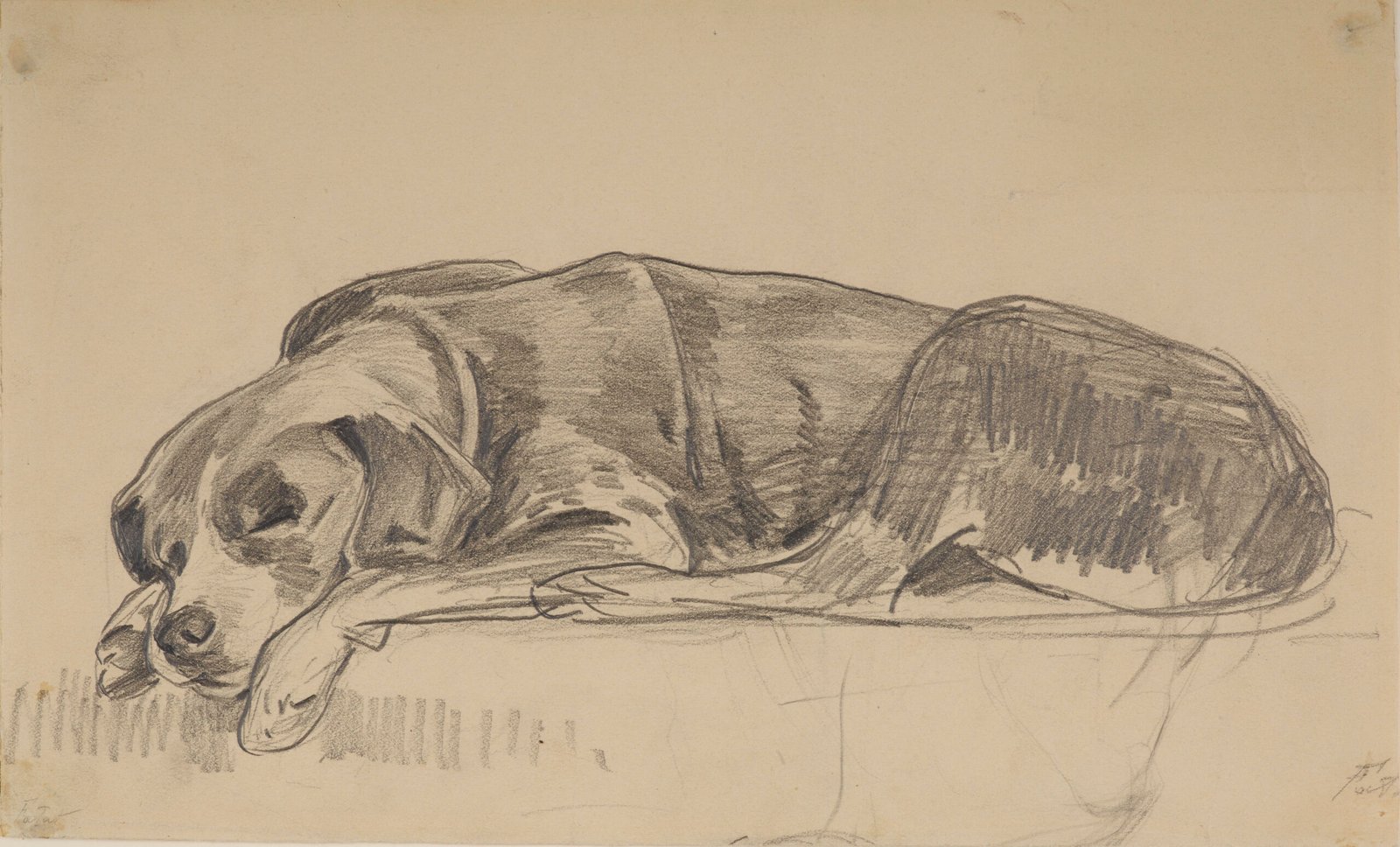 5. Let Sleeping Dogs Lie (image credits: wikimedia)