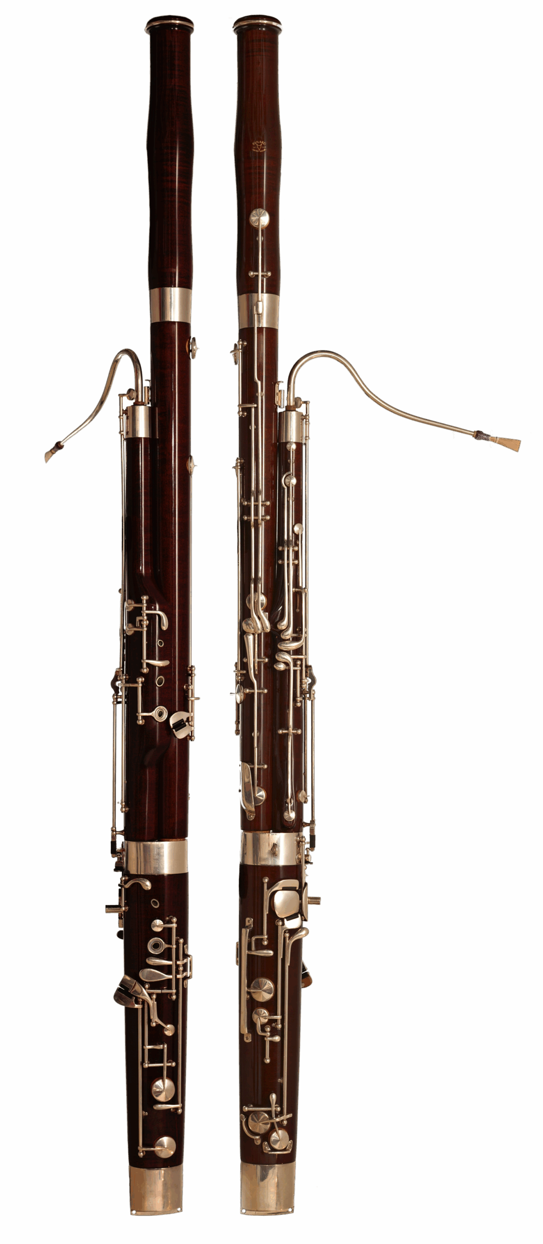 Bassoon (image credits: wikimedia)