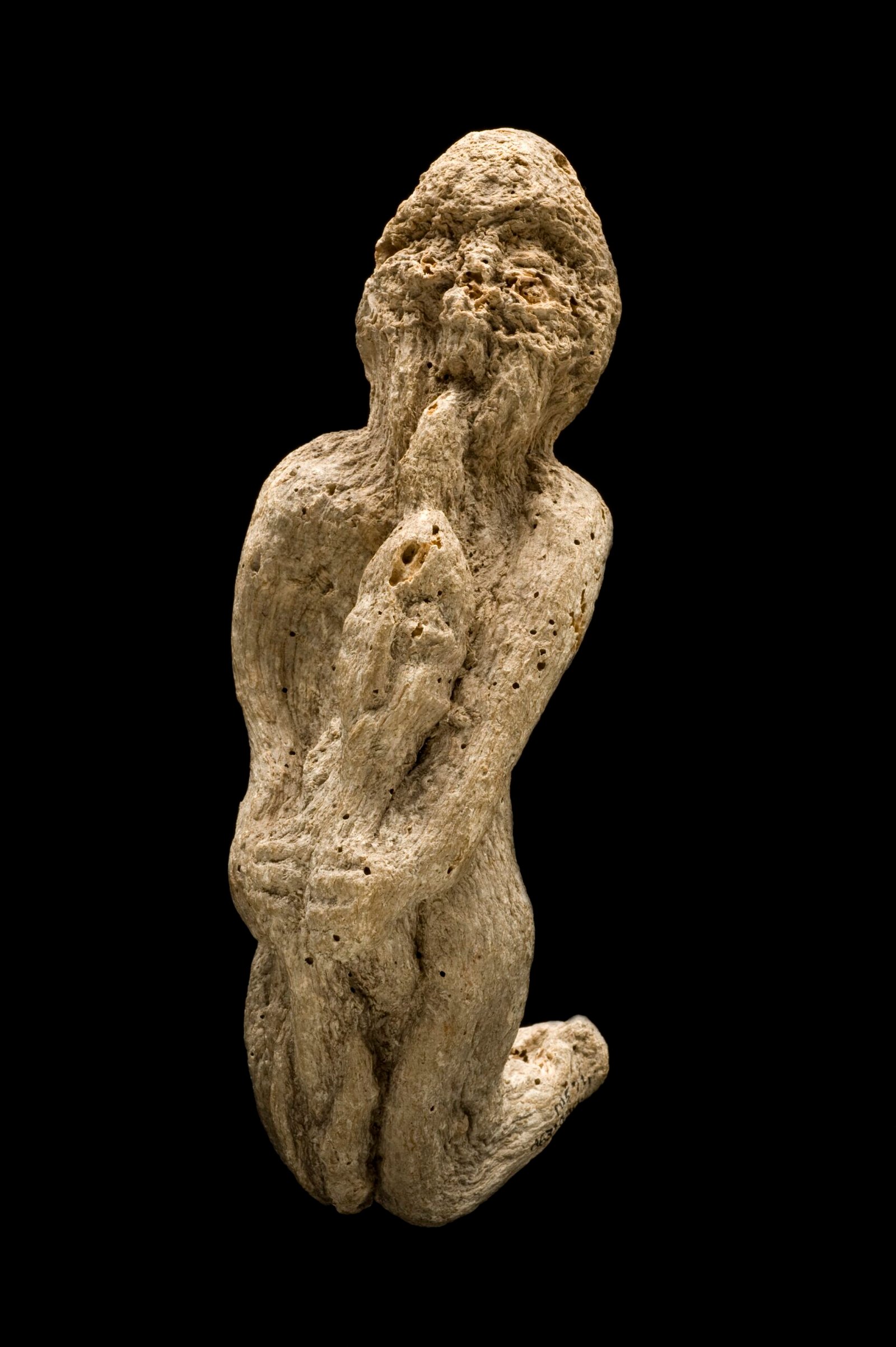 Mandrakes Screamed When Uprooted (image credits: wikimedia)