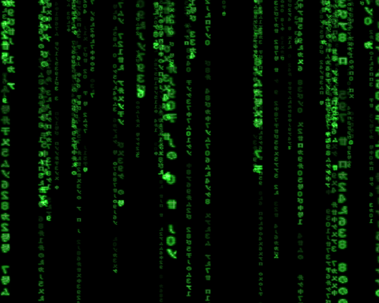Red Dress Woman – The Matrix (1999) (image credits: wikimedia)