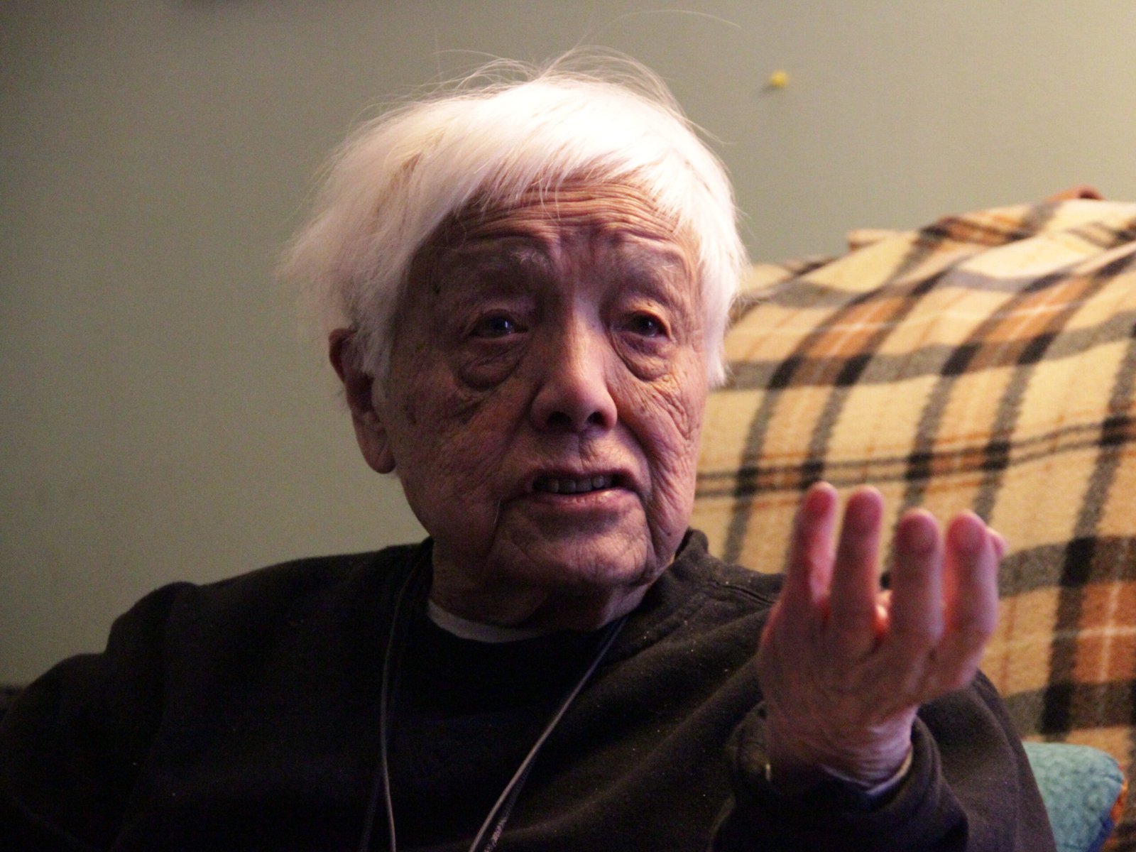 The Next American Revolution by Grace Lee Boggs (image credits: wikimedia)