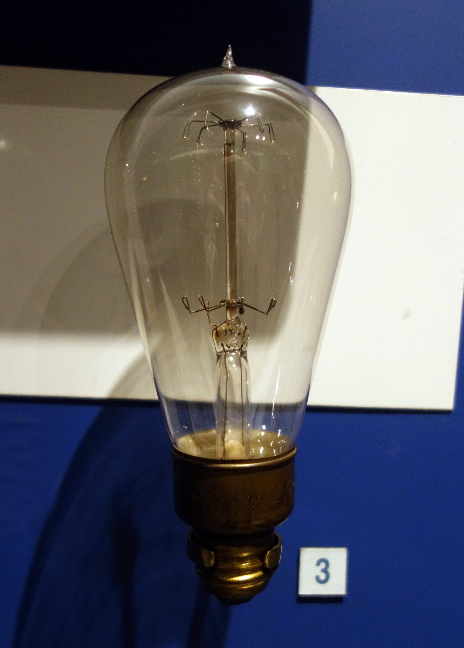 Thomas Edison and the Light Bulb (image credits: wikimedia)