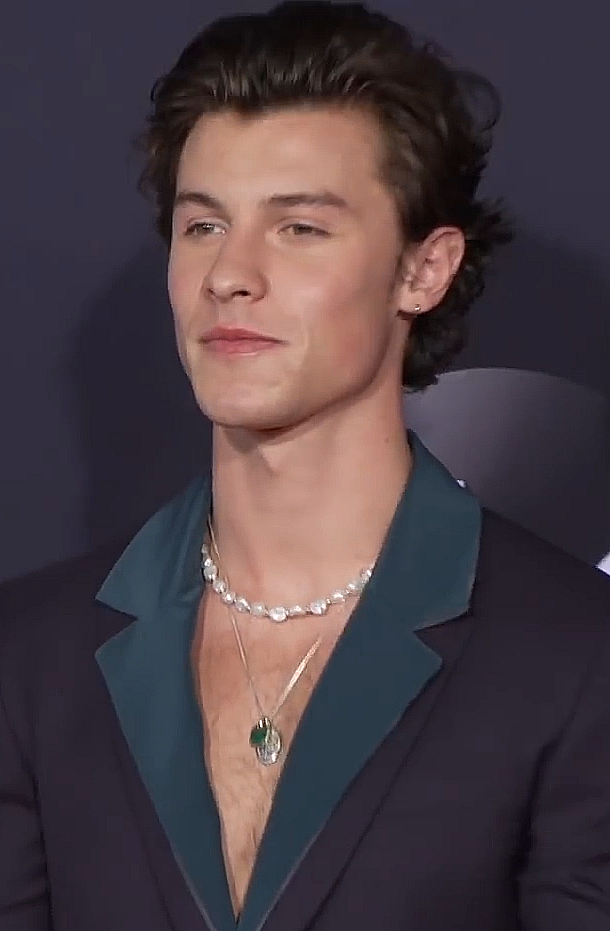 Shawn Mendes’ Ascent from Vine and YouTube (image credits: wikimedia)