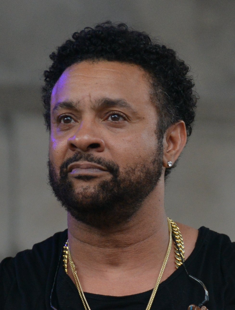 Shaggy’s Global Breakthrough with “It Wasn’t Me” (image credits: wikimedia)