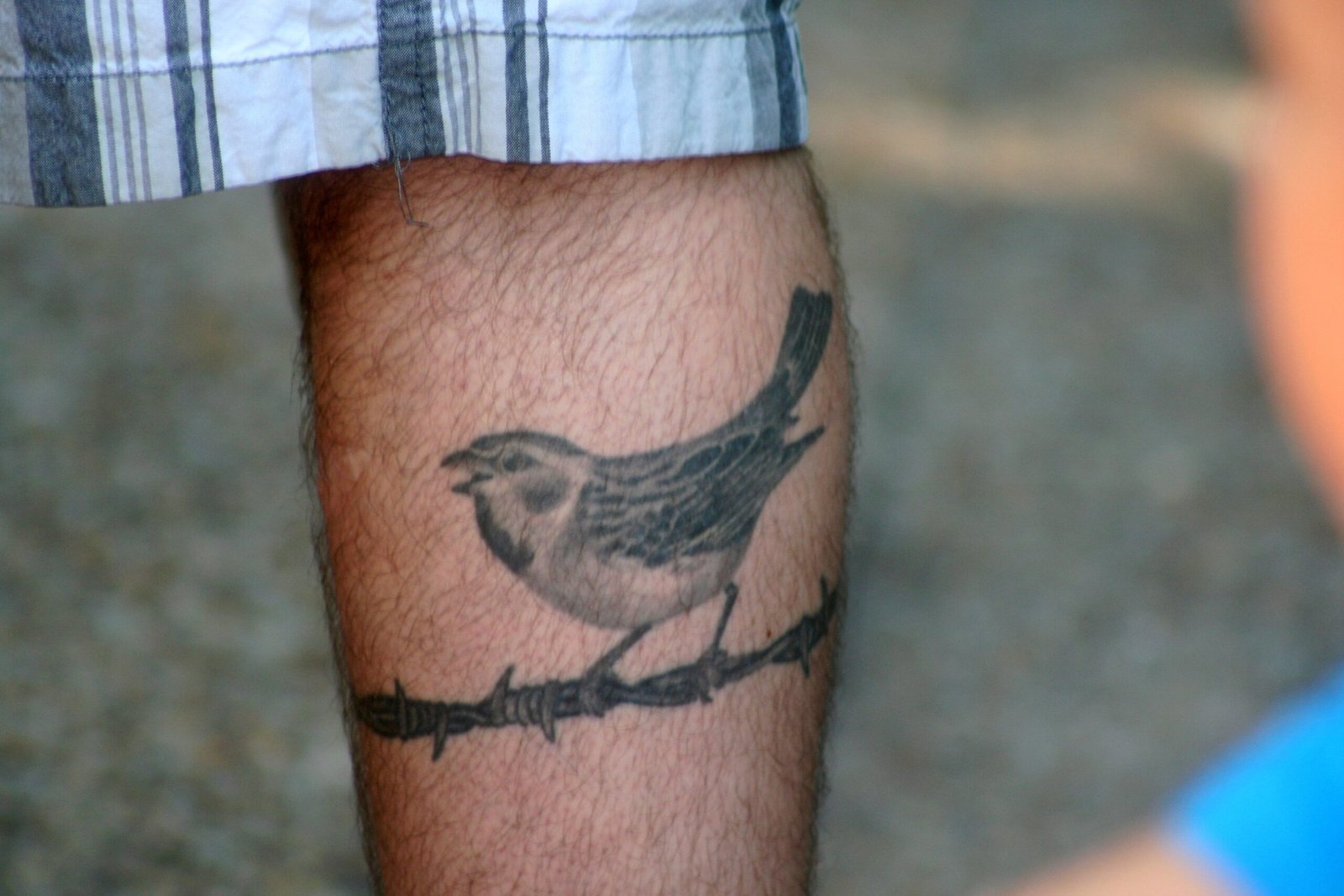 Barbed Wire: The Weight of Sacrifice (image credits: wikimedia)