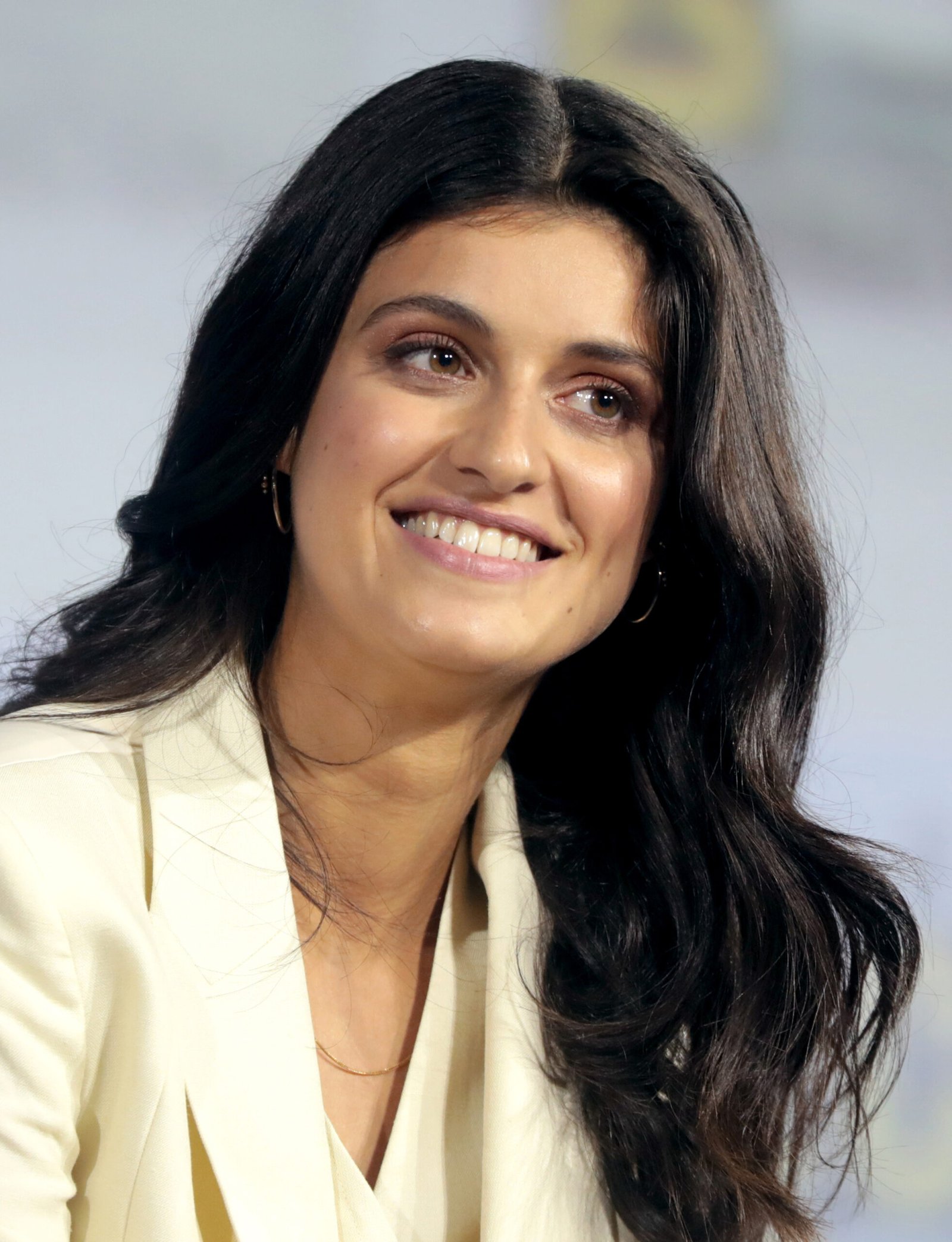 The Witcher (Netflix): As-Aired vs. Chronological Fan Order (image credits: wikimedia)