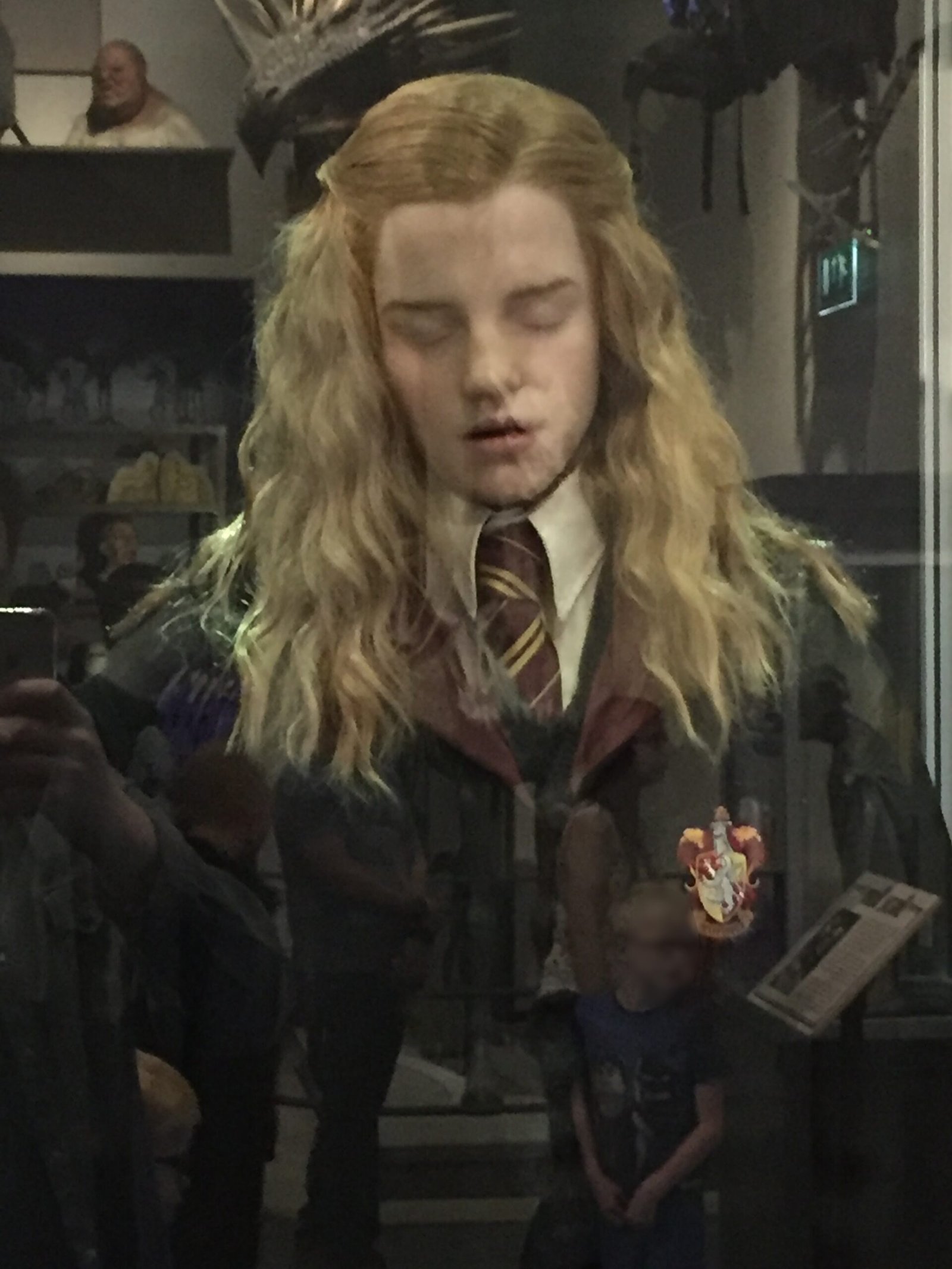 Hermione Granger (Harry Potter series by J.K. Rowling) (image credits: wikimedia)