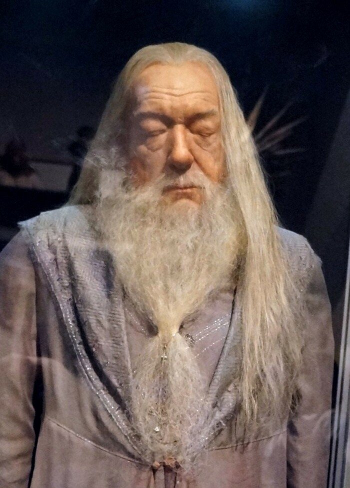 Albus Dumbledore (Harry Potter series by J.K. Rowling) (image credits: wikimedia)