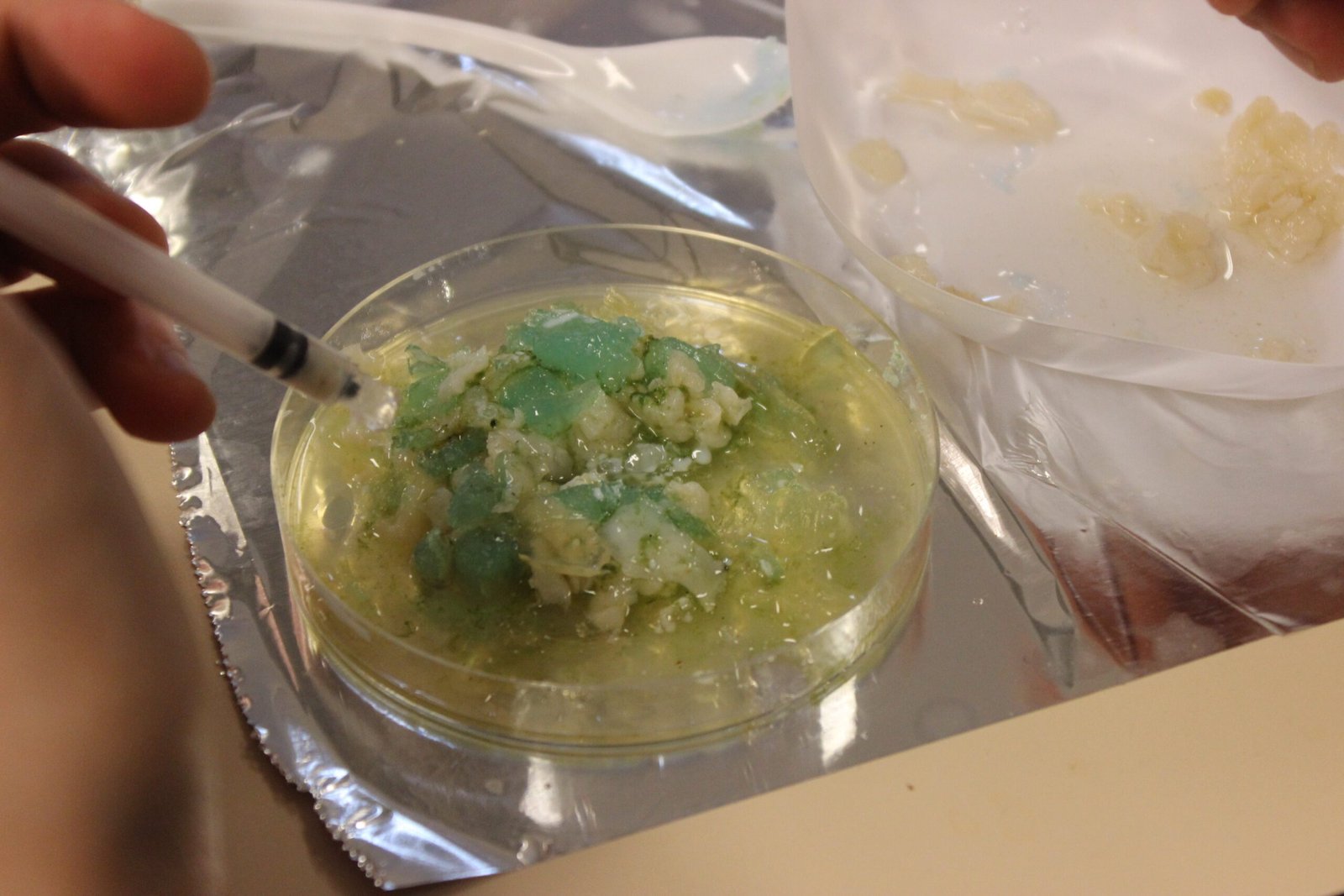 Mary Shelley: Bioengineering and the Birth of Artificial Life (image credits: wikimedia)