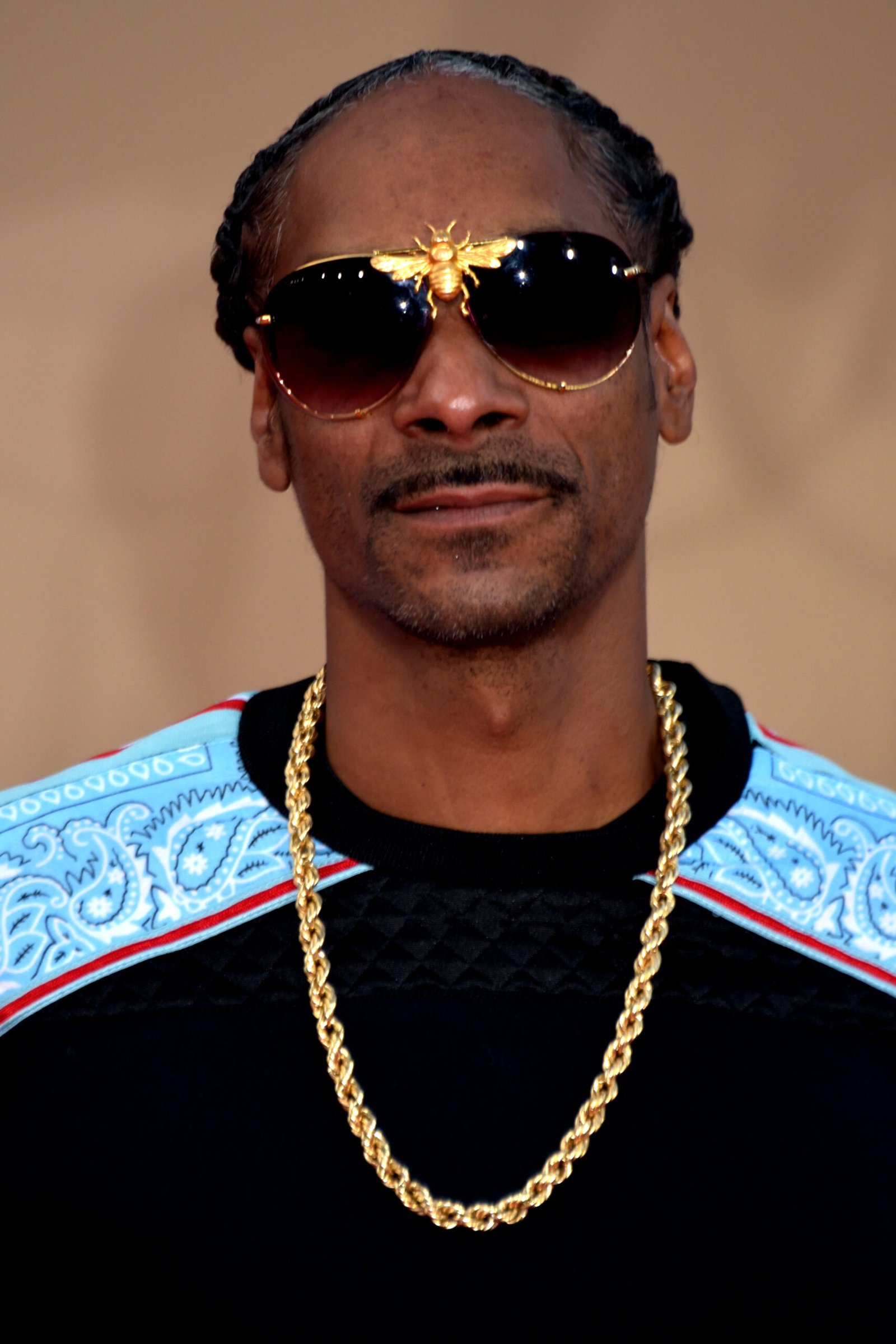 Snoop Dogg – Hip-Hop to Reggae (as Snoop Lion) (image credits: wikimedia)