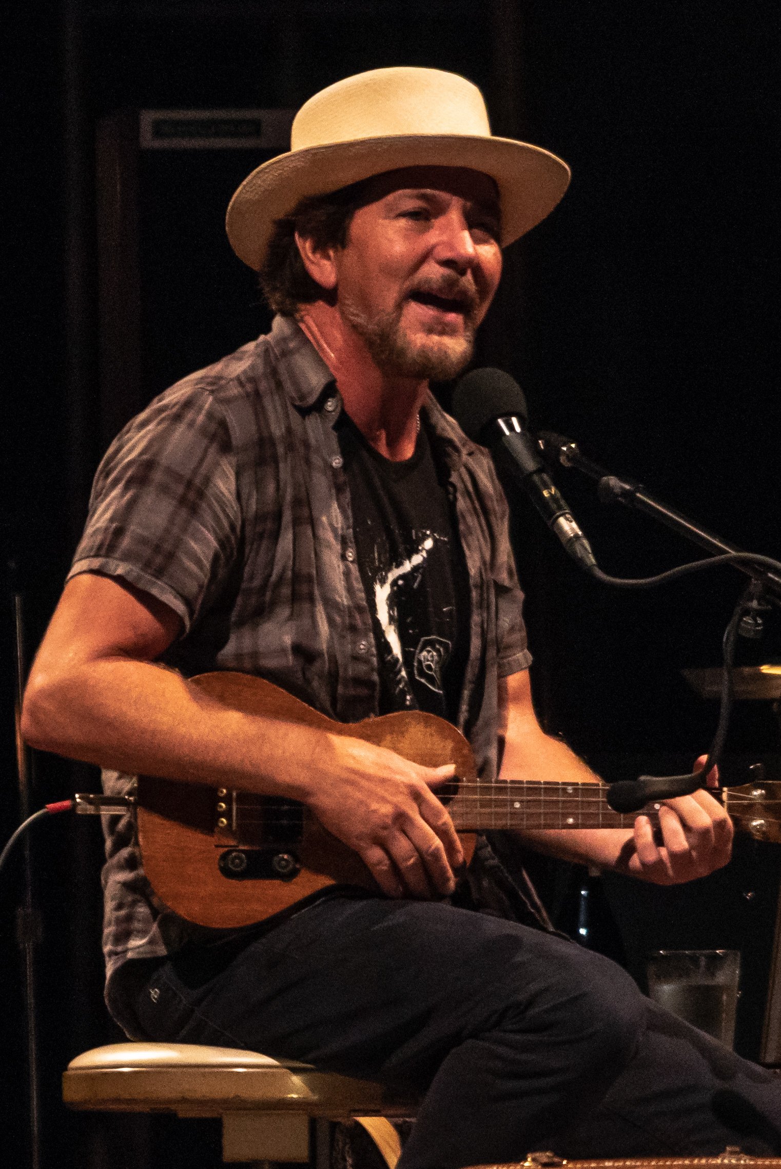 Eddie Vedder (Pearl Jam) (image credits: wikimedia)