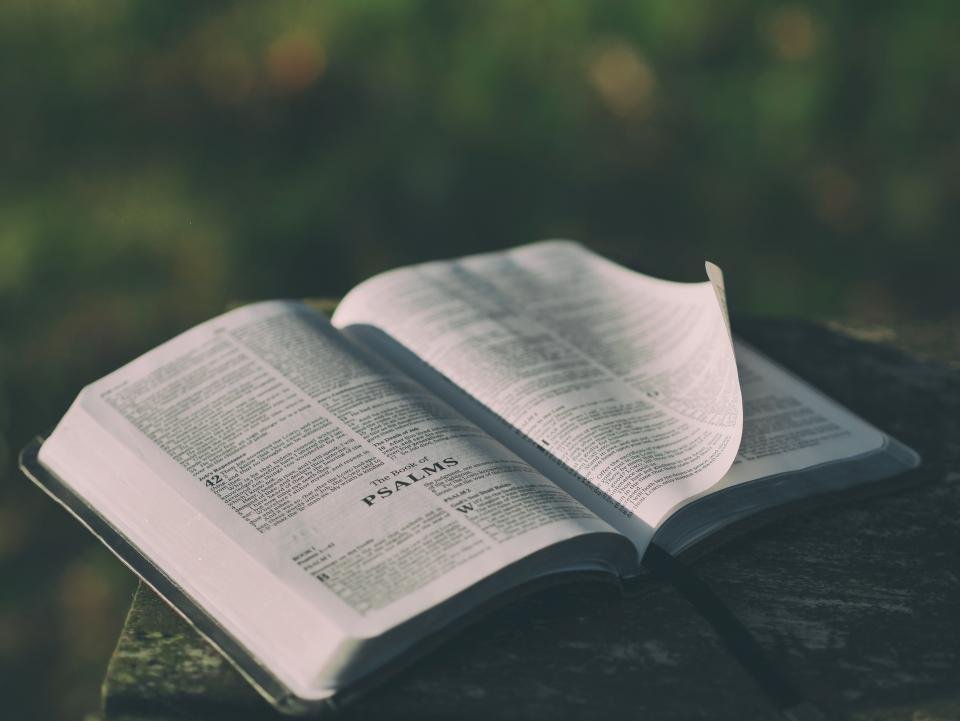 Why Writing Without Chapters Works (image credits: stocksnap)