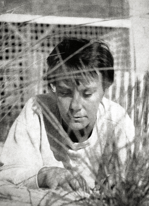 6. Harper Lee (image credits: wikimedia)