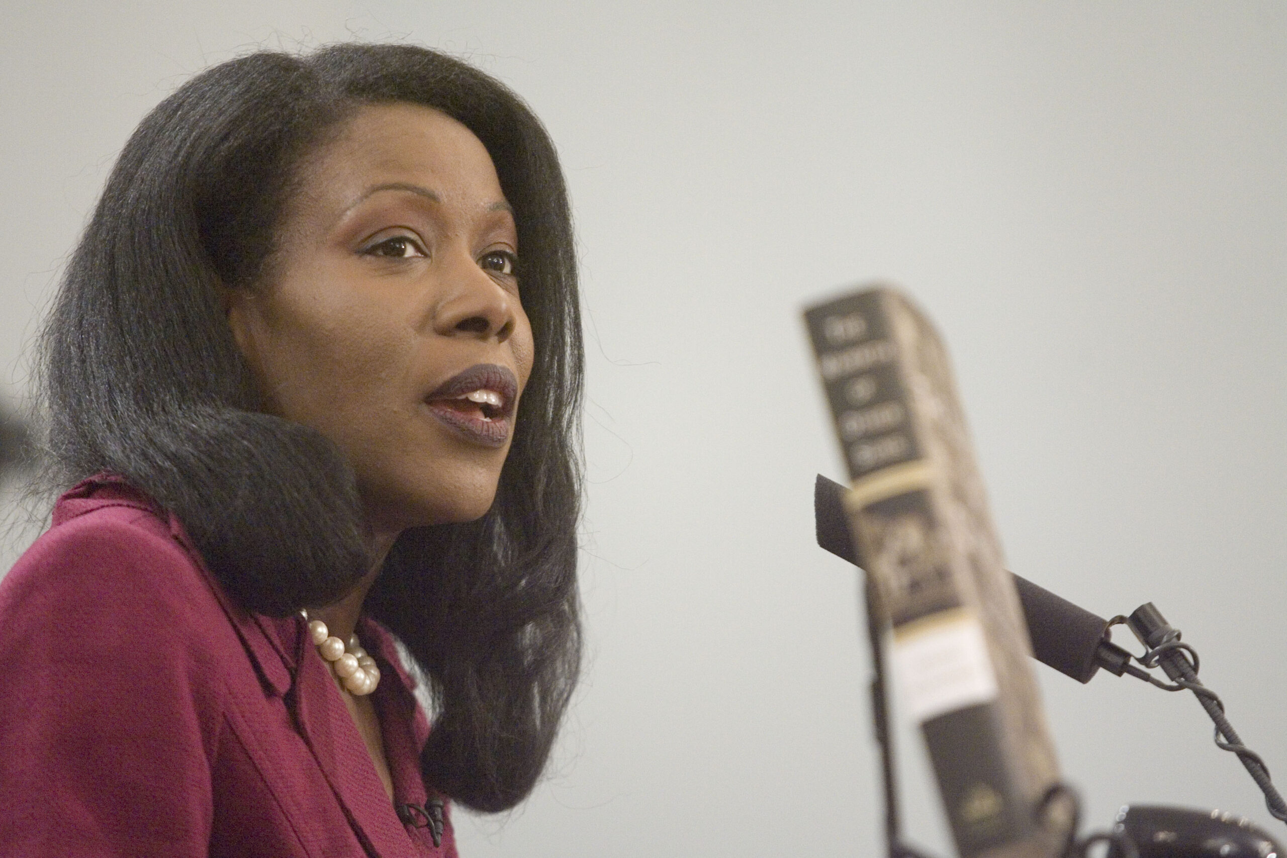 5. “The Warmth of Other Suns” by Isabel Wilkerson (image credits: wikimedia)