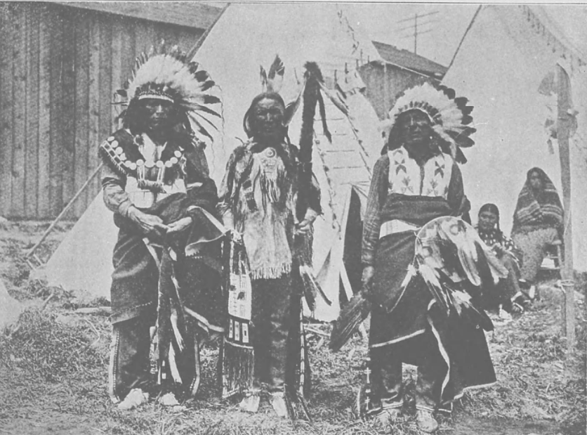 Bury My Heart at Wounded Knee by Dee Brown (image credits: wikimedia)