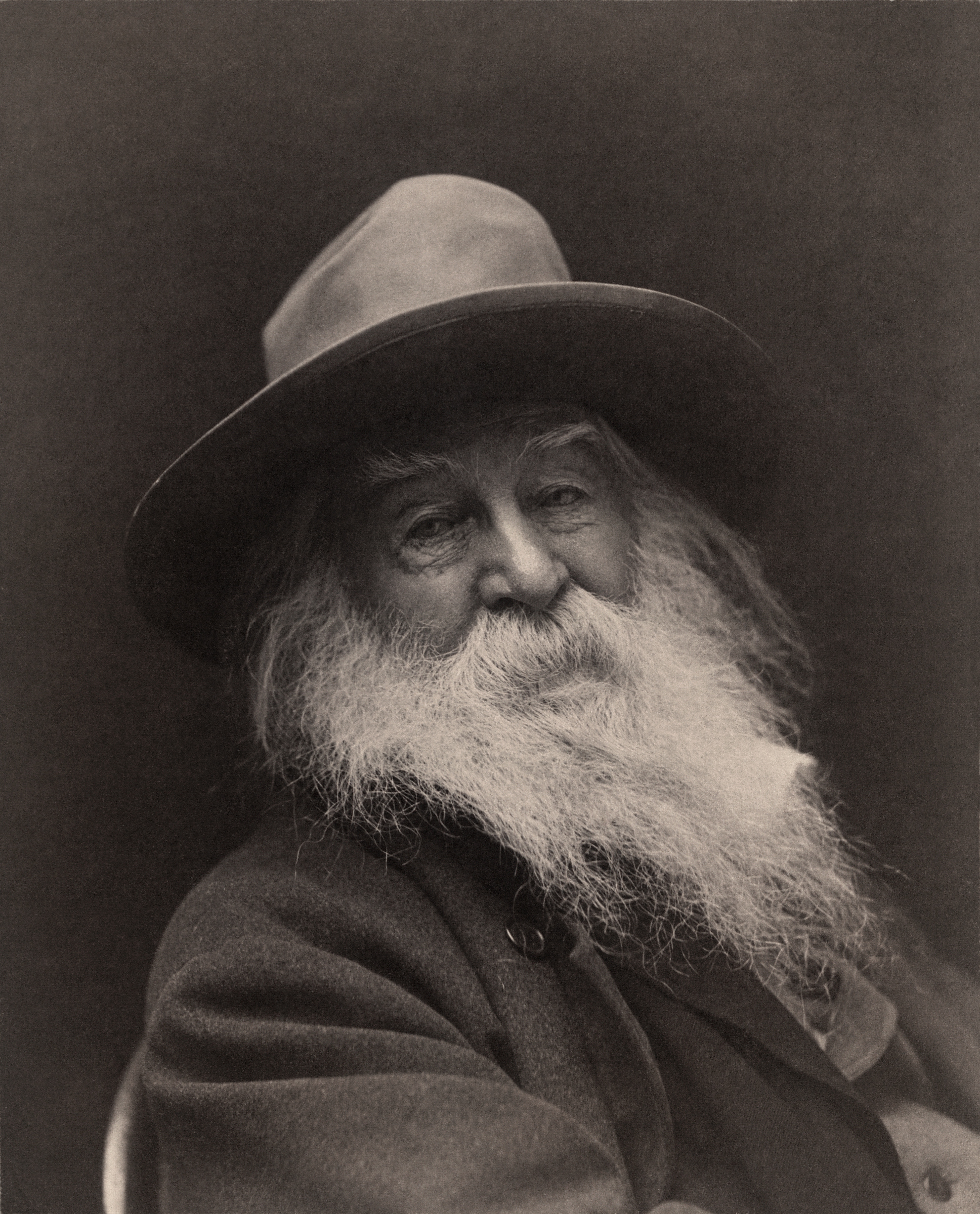 4. Leaves of Grass by Walt Whitman (image credits: wikimedia)