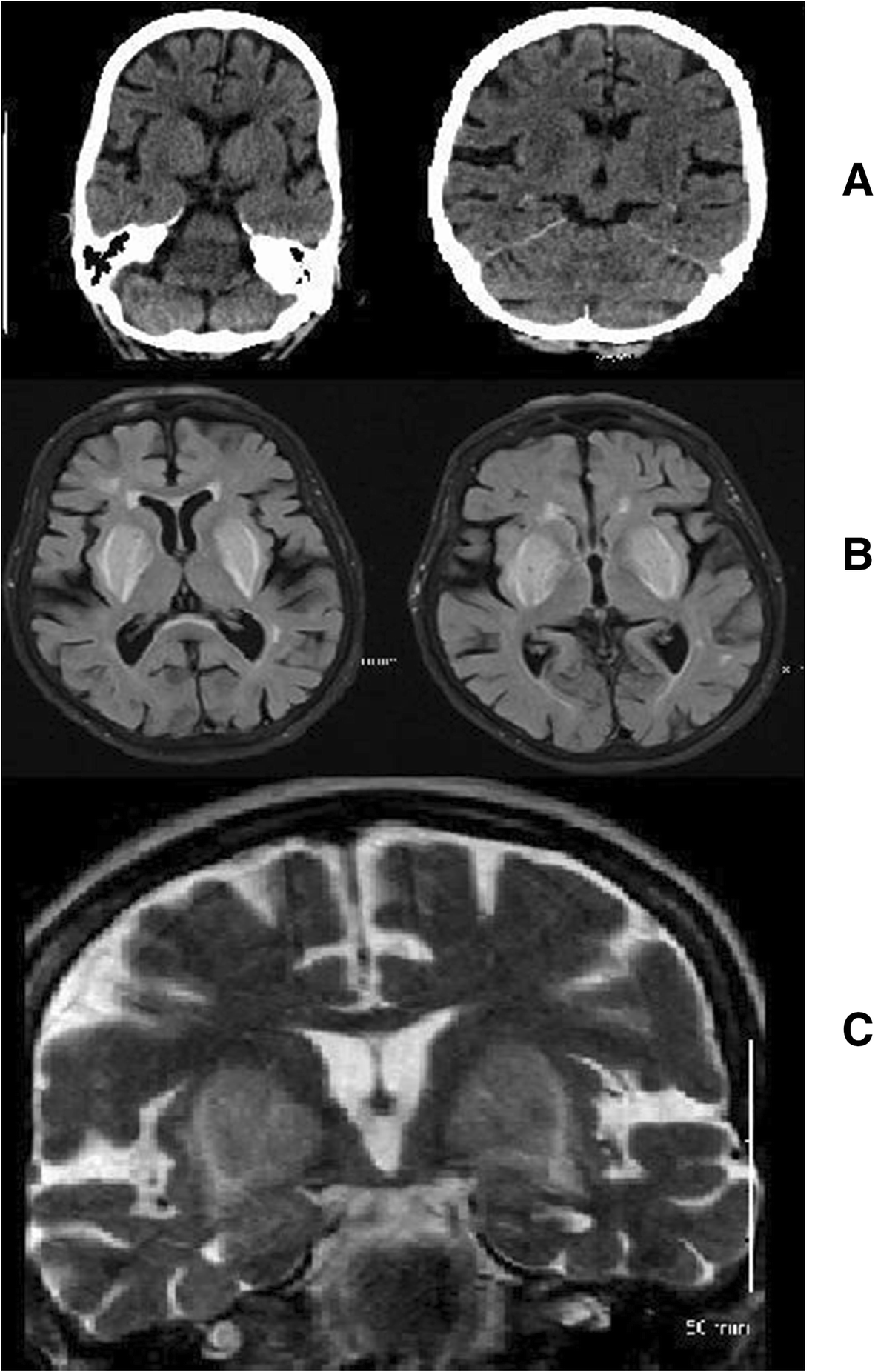 The Science of Voice Recognition (image credits: wikimedia)
