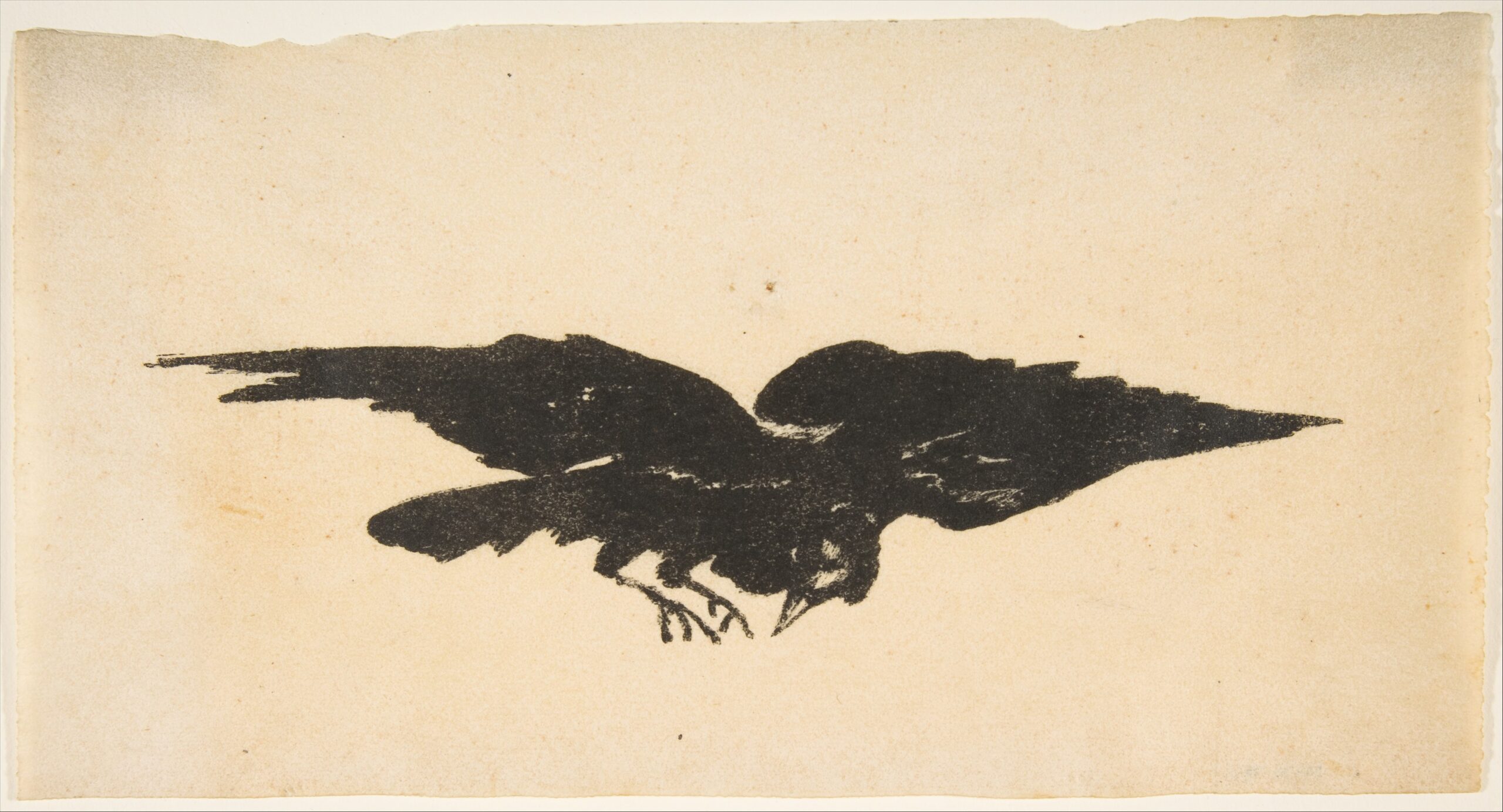 The Raven: Poe’s Night of Grief (image credits: wikimedia)