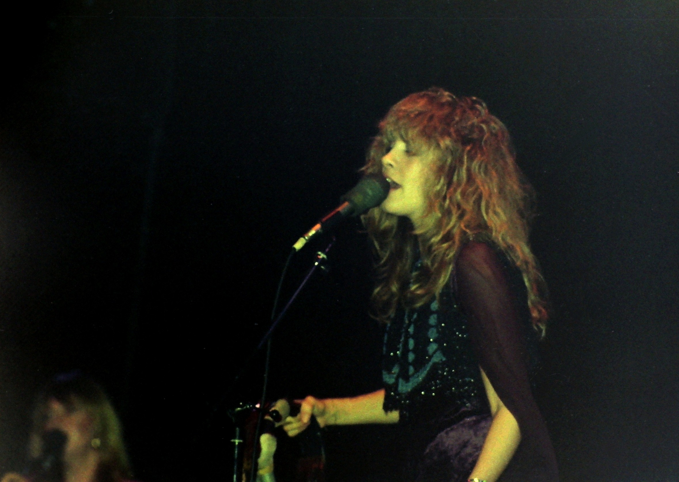 18. “Annabel Lee” by Stevie Nicks (image credits: wikimedia)