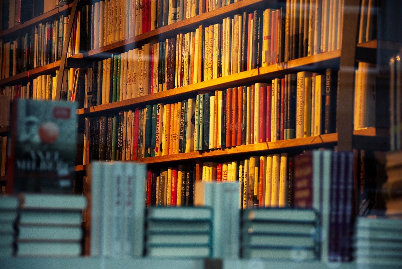 Modern Blockbusters: The “Harry Potter” Effect on American Favorites (image credits: pixabay)