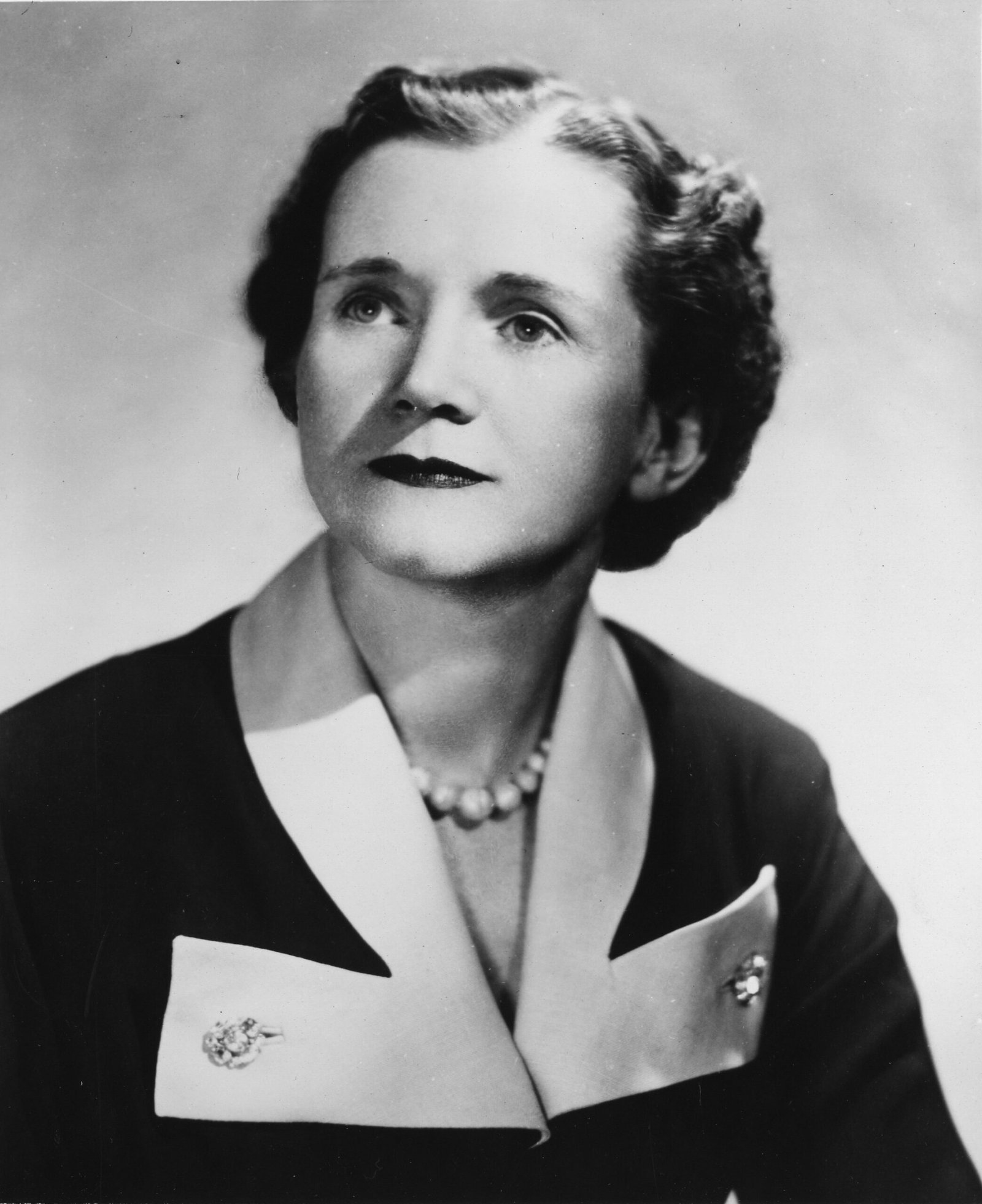 Silent Spring by Rachel Carson (image credits: wikimedia)