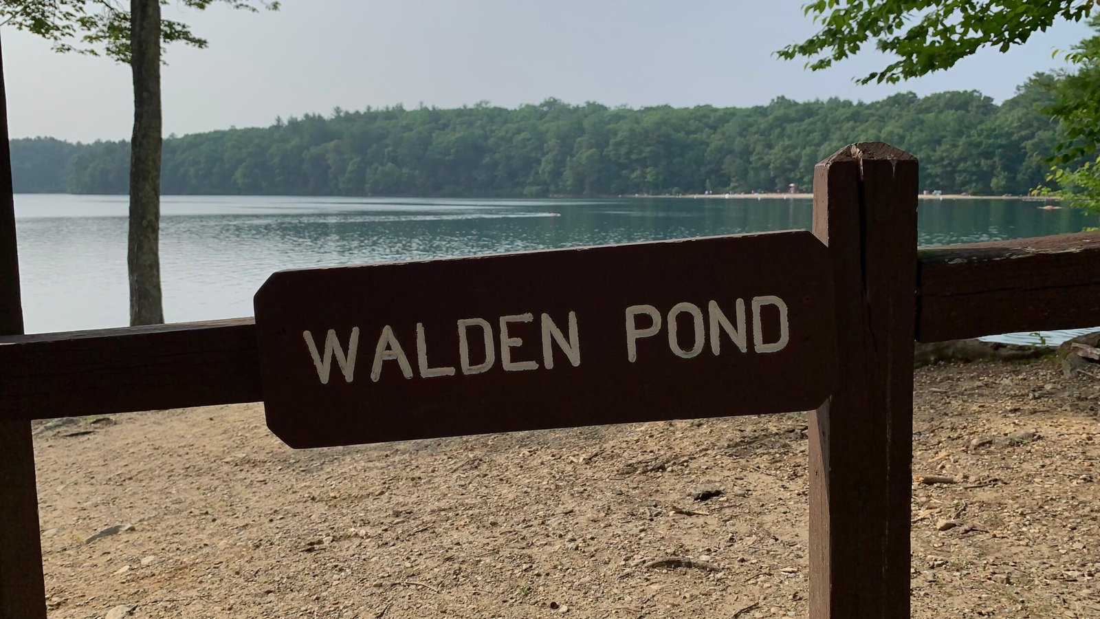 Walden by Henry David Thoreau (image credits: wikimedia)