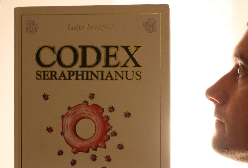 4. Codex Seraphinianus (image credits: flickr)