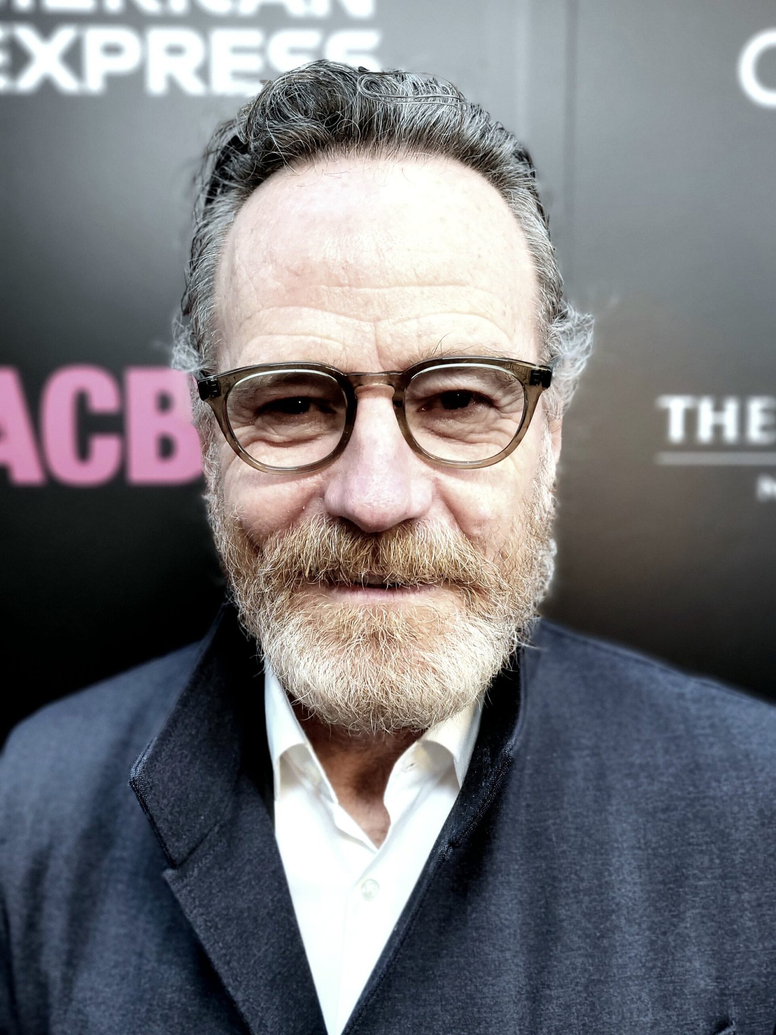 When Breaking Bad's Final Moments Made Bryan Cranston Weep (image credits: wikimedia)