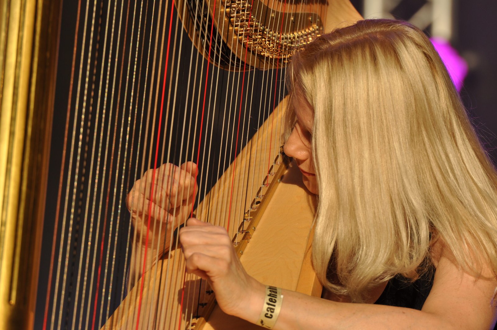 When Instruments Become Voices (image credits: wikimedia)