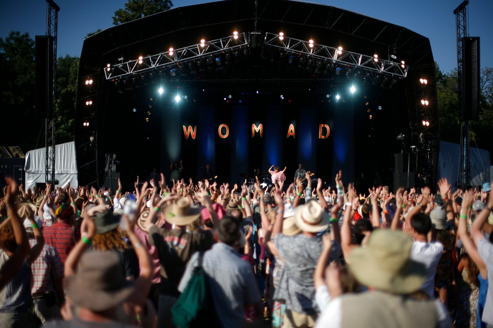 WOMAD: The Ethnomusicology Exhibit (image credits: wikimedia)