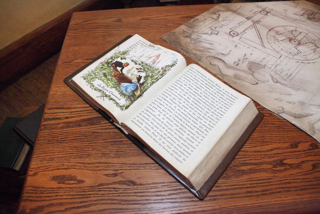 12. Beauty and the Beast – Stockholm Syndrome? (image credits: flickr)