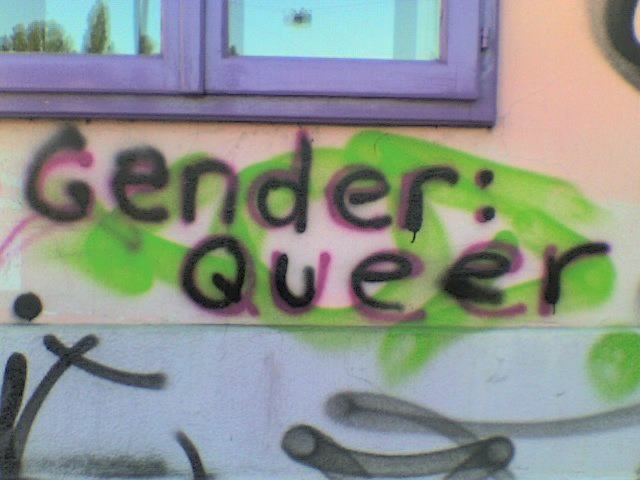 Gender Queer – The Most Banned Book in America (image credits: wikimedia)