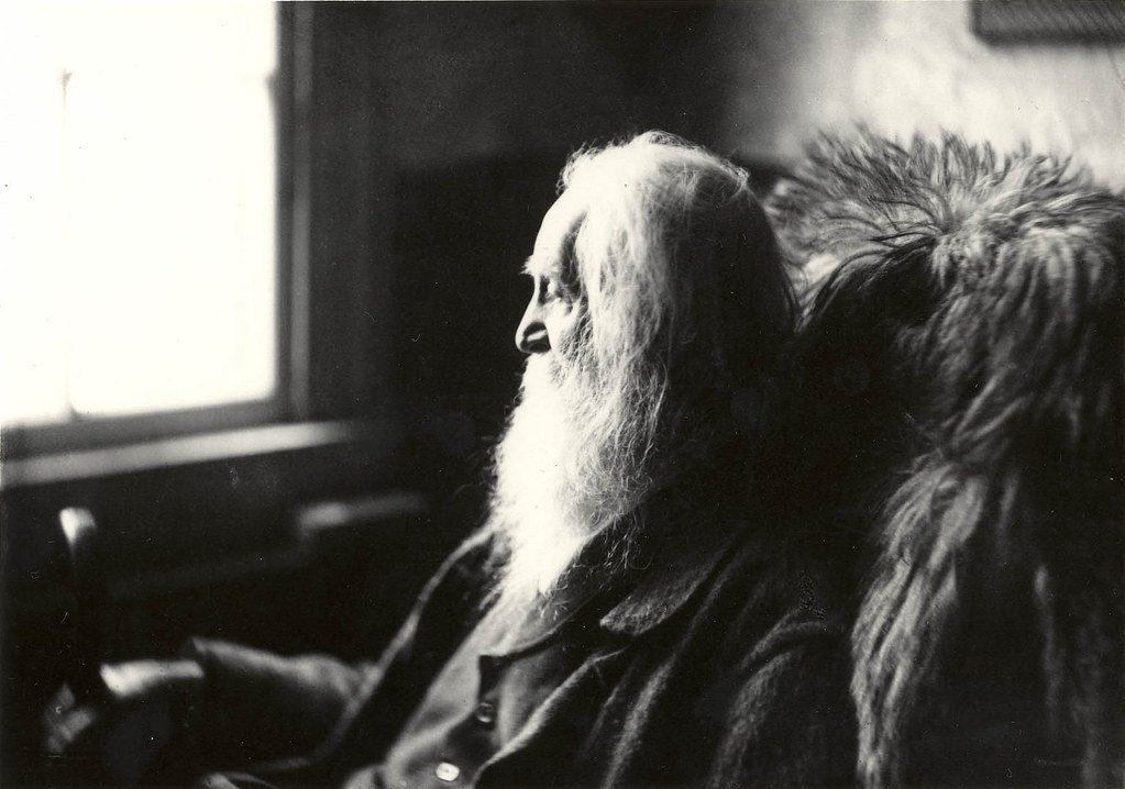 2. Walt Whitman’s “Manly Health and Training” (image credits: flickr)
