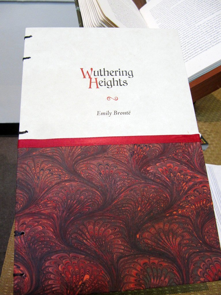 3. Wuthering Heights by Emily Brontë (image credits: flickr)