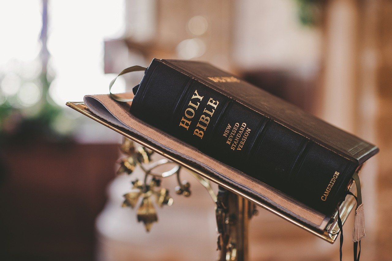 The Bible - Shaping Western Historical Consciousness (image credits: pixabay)