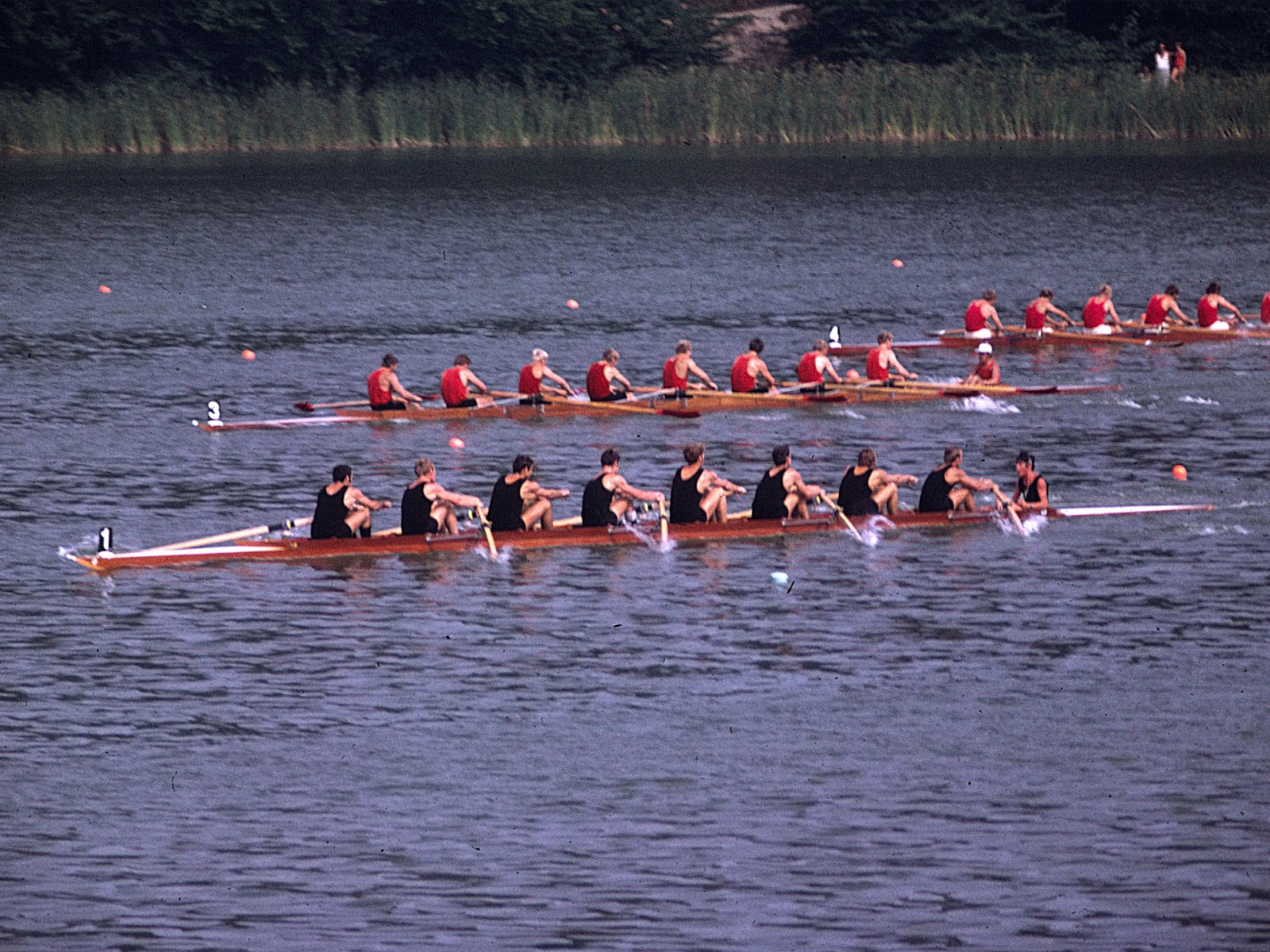 The Olympic Mistake That Changed Everything (image credits: wikimedia)