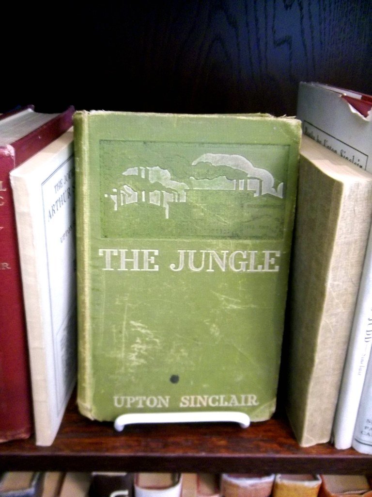 20. The Jungle – The Exploitation of Chicago’s Meatpacking Workers (image credits: flickr)