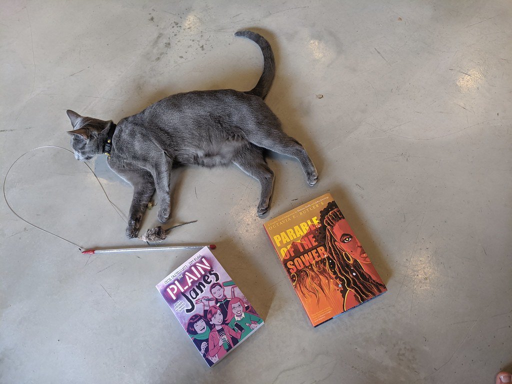 12. Octavia E. Butler and Societal Upheaval (image credits: flickr)