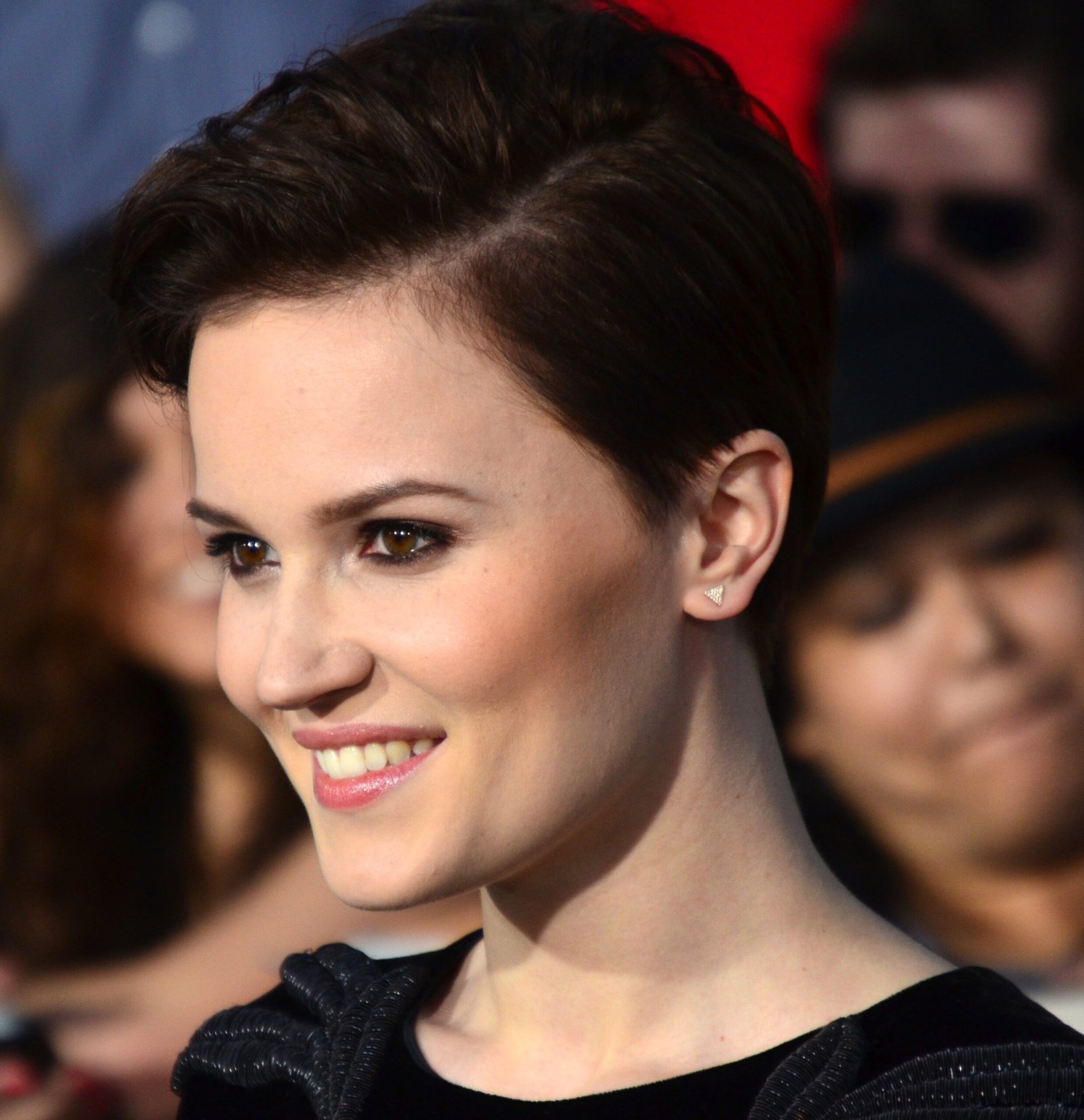 15. “Allegiant” by Veronica Roth (image credits: wikimedia)