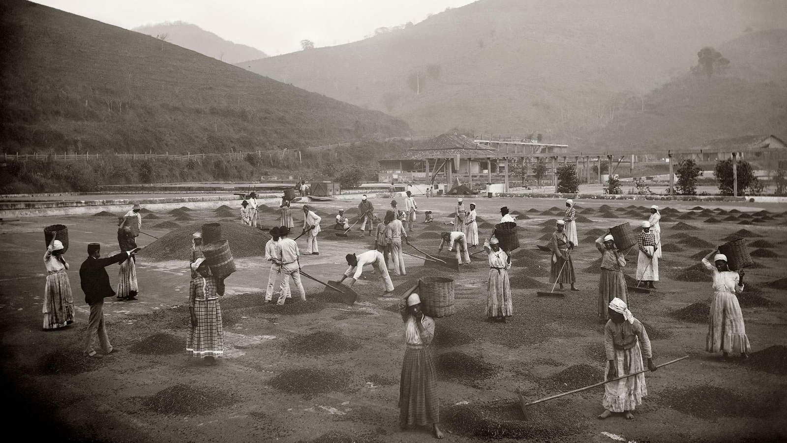 Echoes from the Fields: Protest Songs of Enslaved People (image credits: wikimedia)