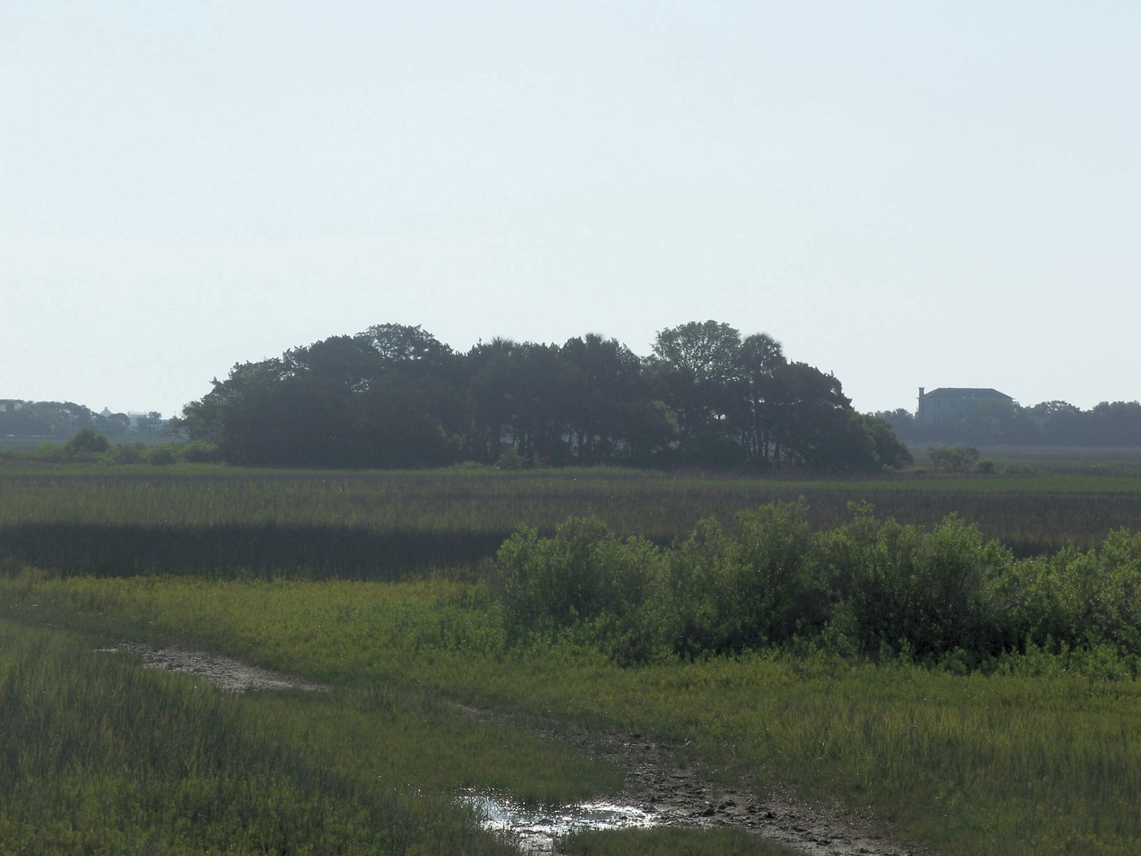 Fort Mose Historic State Park, Florida (image credits: wikimedia)