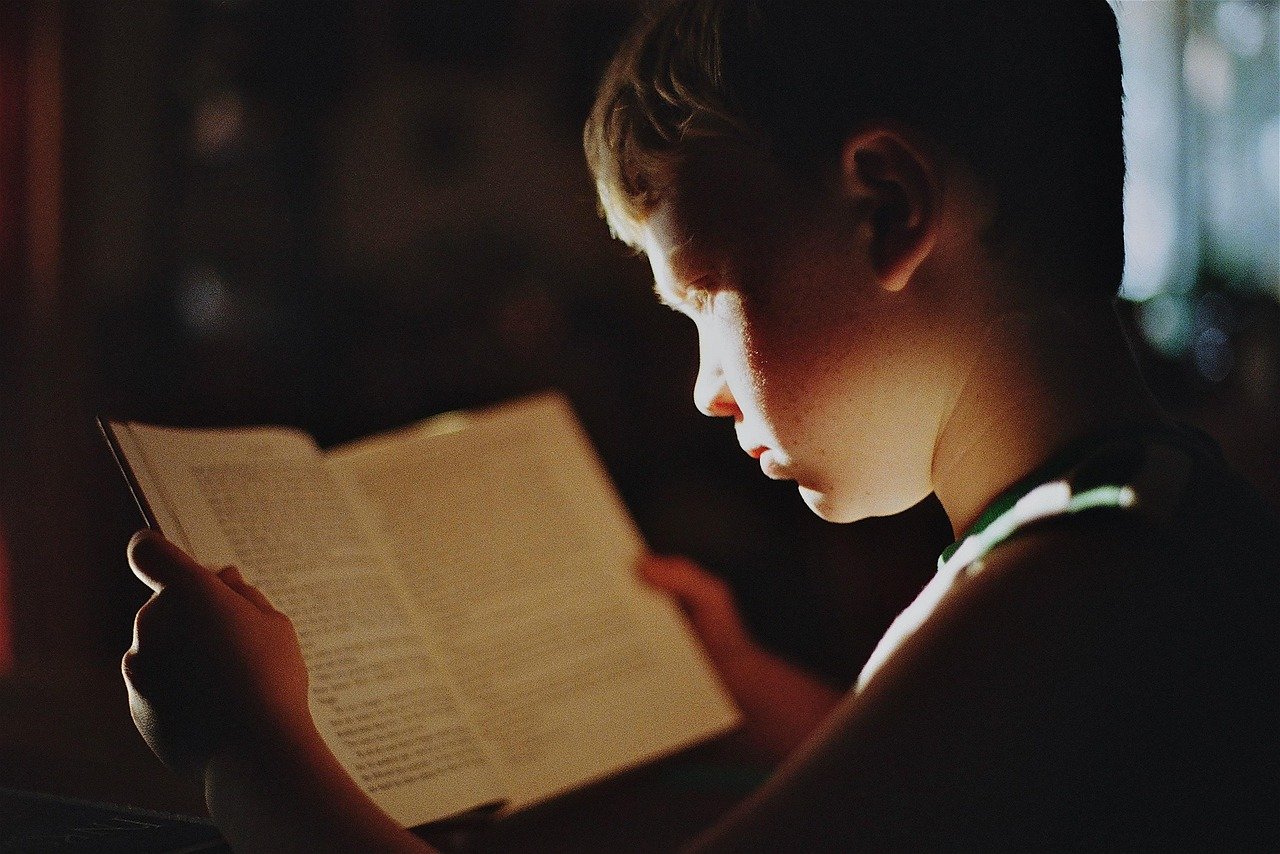 Children’s Stories as Political Commentary (image credits: pixabay)