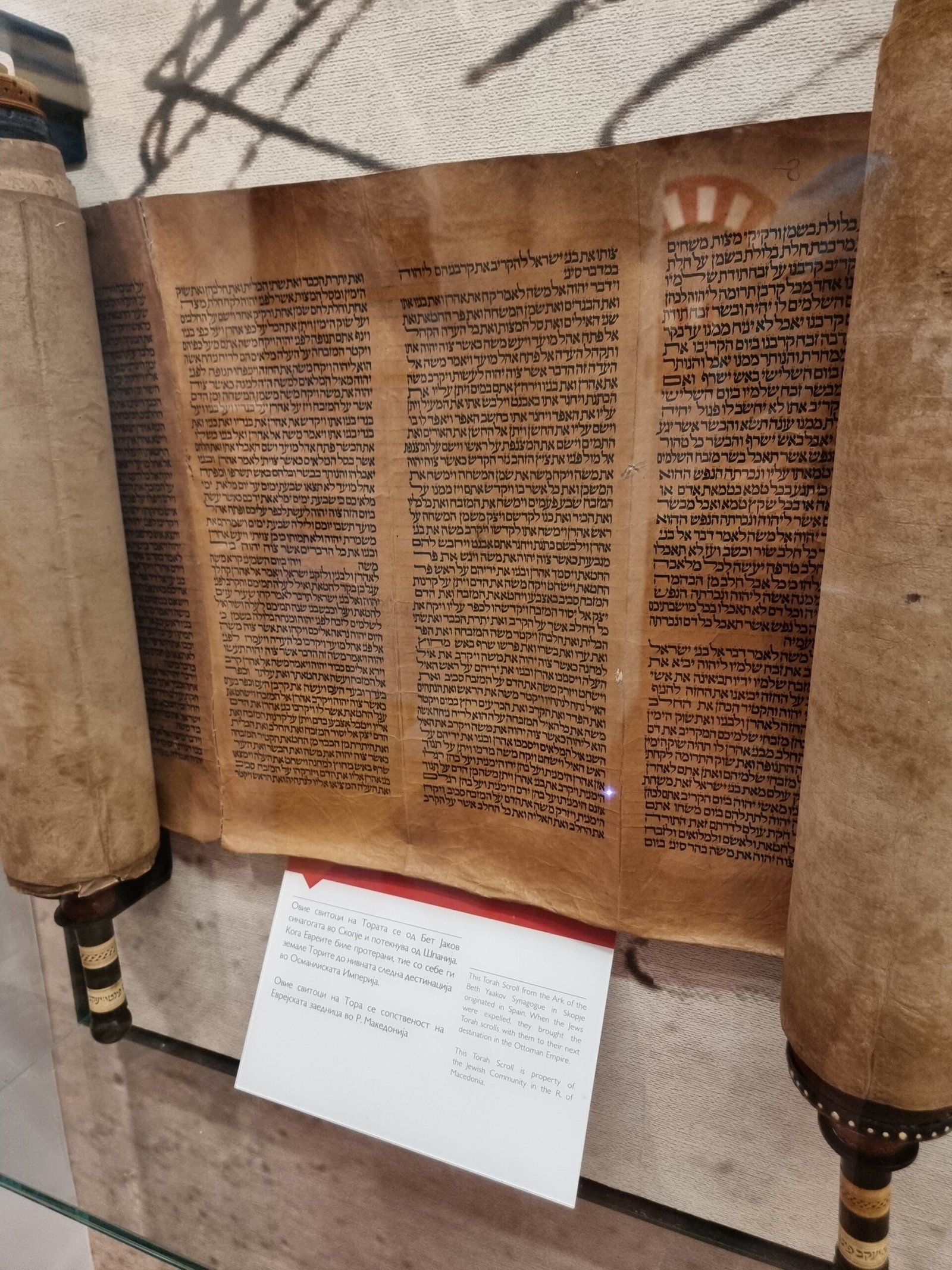 The Torah (image credits: wikimedia)