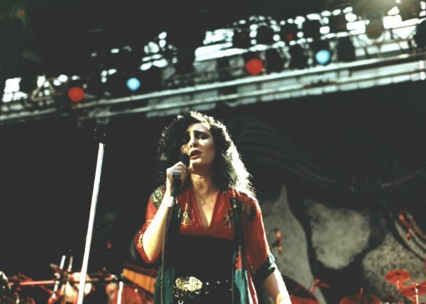 Lollapalooza 1991: Generation X Finds Its Voice (image credits: wikimedia)