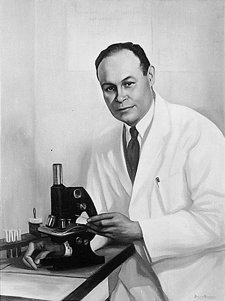 Dr. Charles Drew: The Blood Bank Pioneer (image credits: wikimedia)