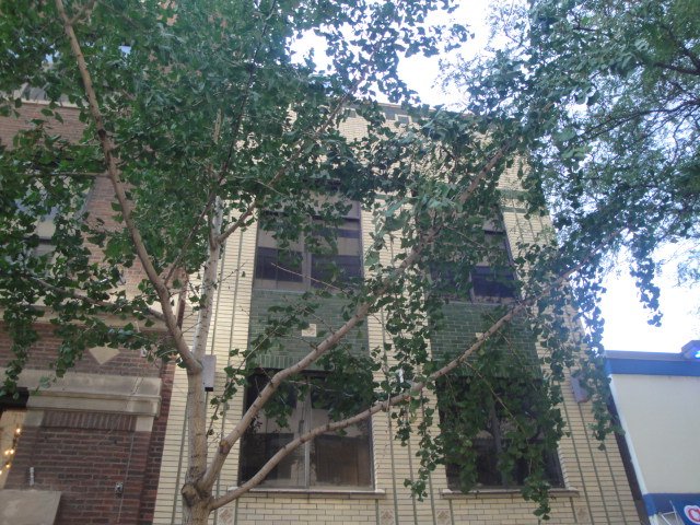 Chicago’s Disappearing House Music Underground (image credits: wikimedia)