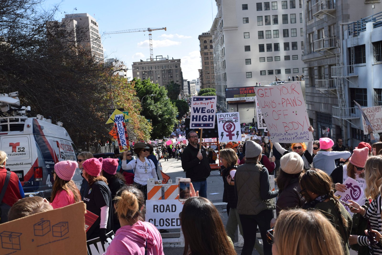 21. The Women’s March (2017) (image credits: wikimedia)